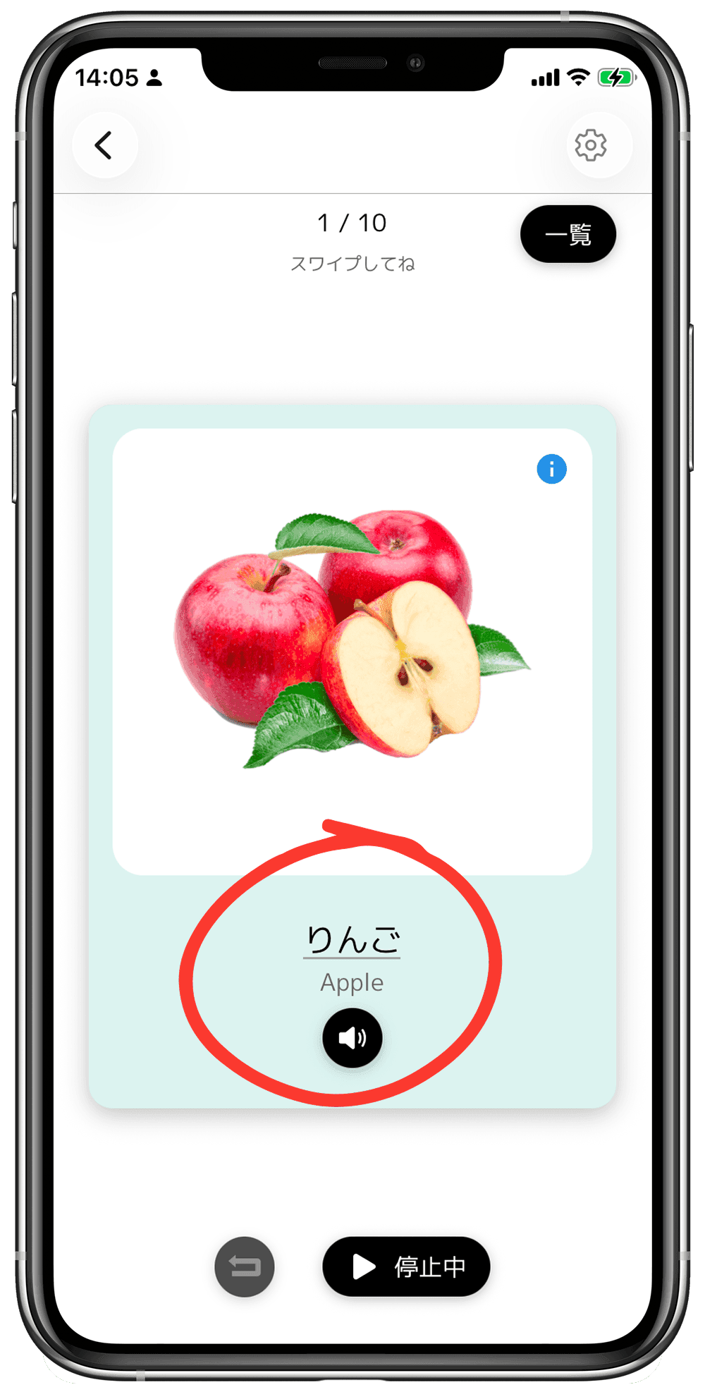 単語カードに多言語訳が表示されている画面|ことばたんけん 日本語フラッシュカード 音声つき 幼児 3歳 4歳 5歳